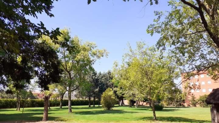 פלנסיה Residencia Diego Martinez מראה חיצוני תמונה