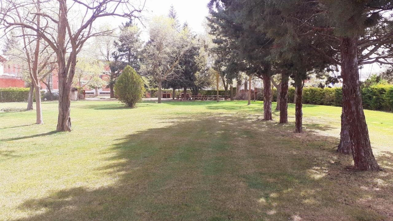 פלנסיה Residencia Diego Martinez מראה חיצוני תמונה